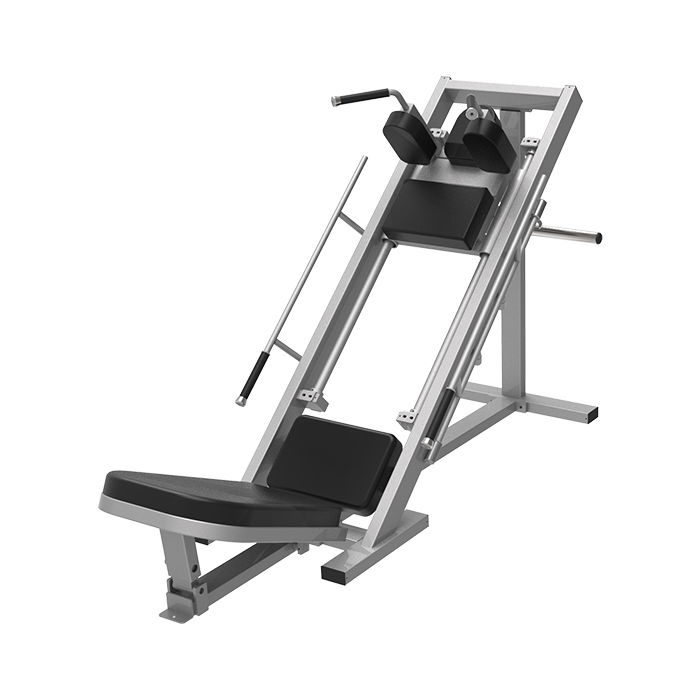 Leg Press/ Hack Slide