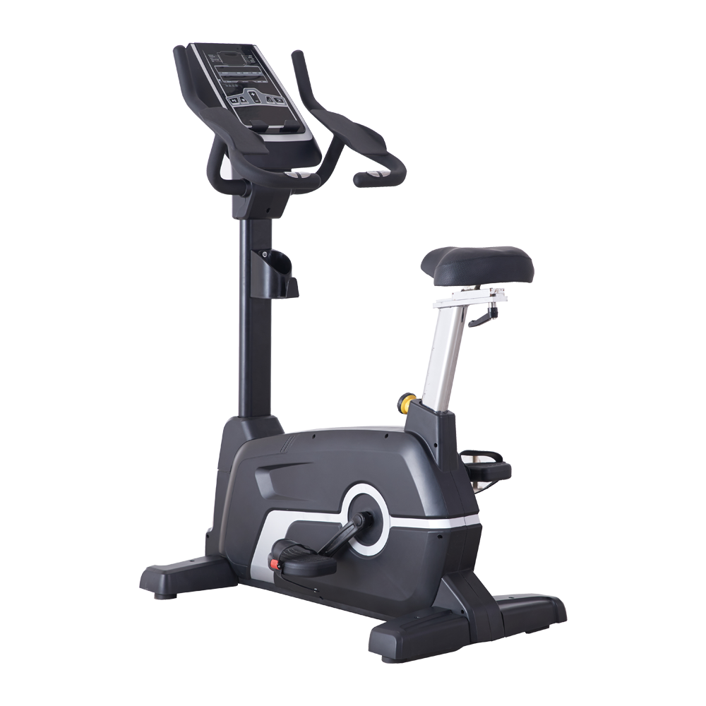 MAGNETIC EXERCISE BIKE