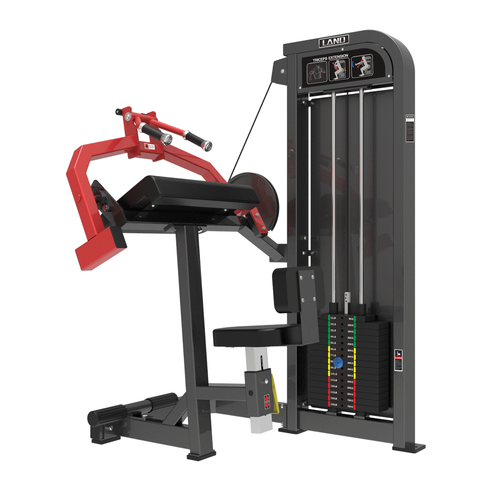 Tricep Extension