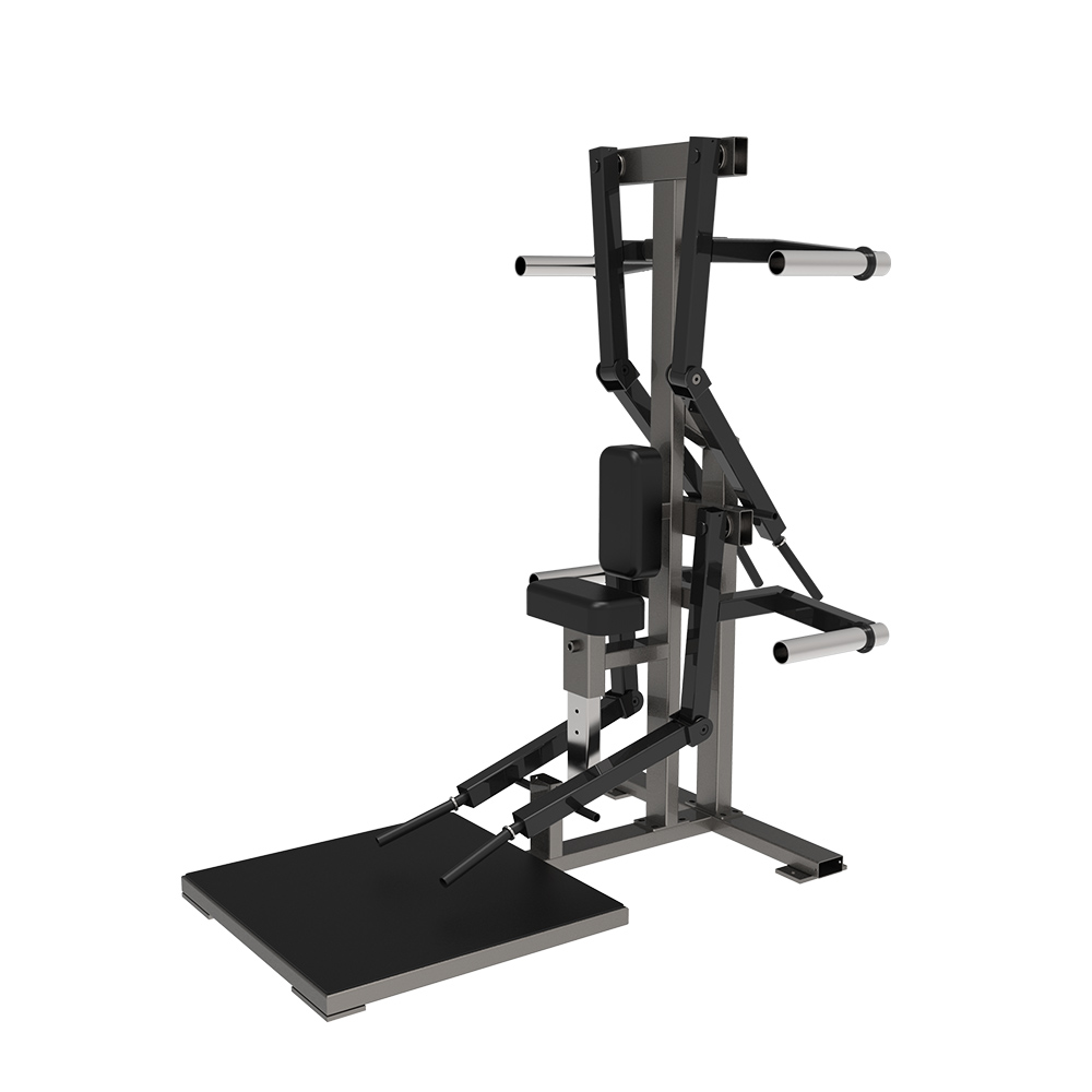 Lateral/Rear Delt Raise Combo