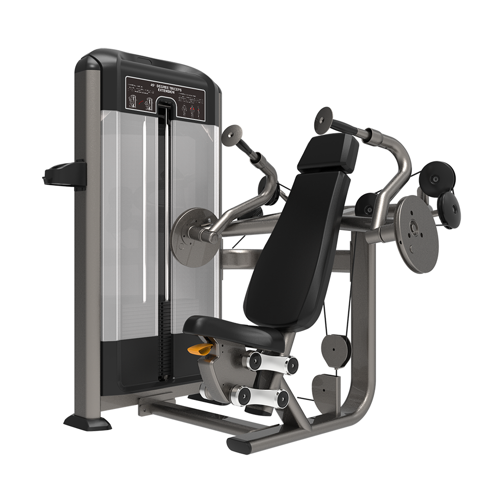 Seated Triceps-flat