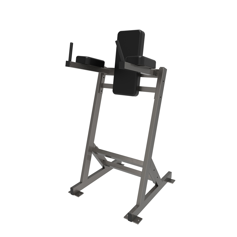 Vertical Knee Raise