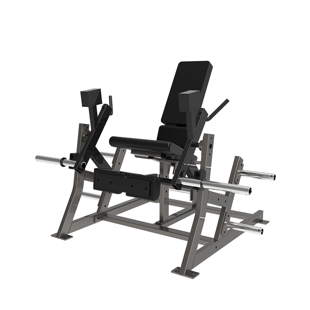 Lateral Leg Extension 