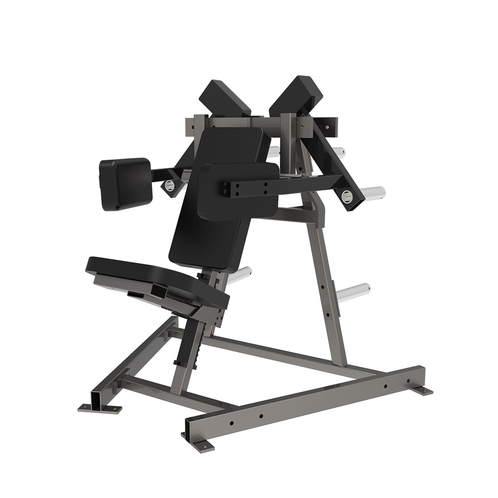 Lateral Raise