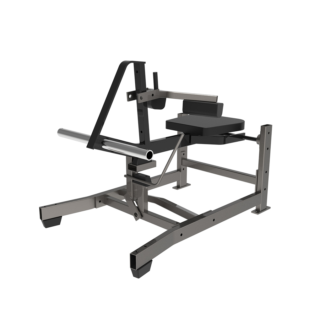 Seated Calf Raise