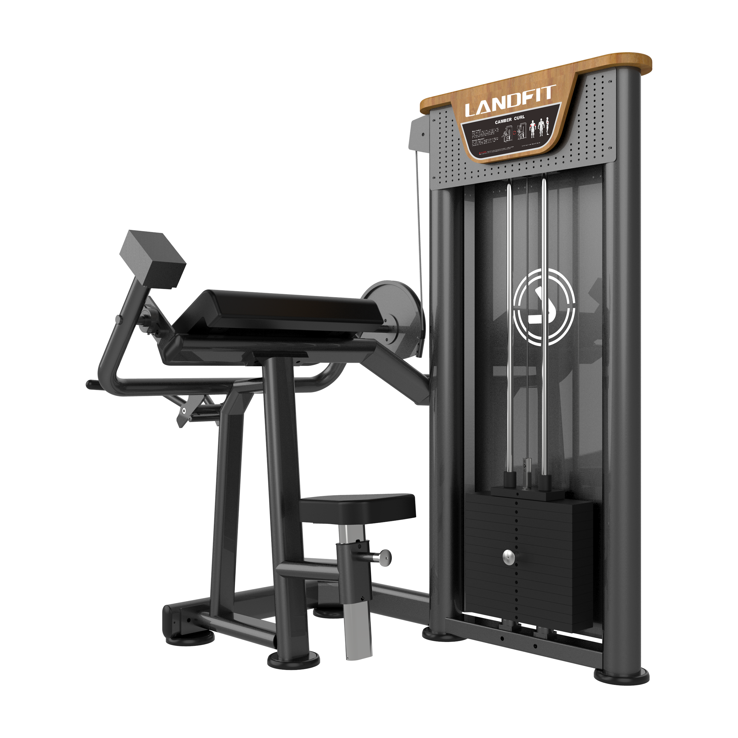 Biceps Curl