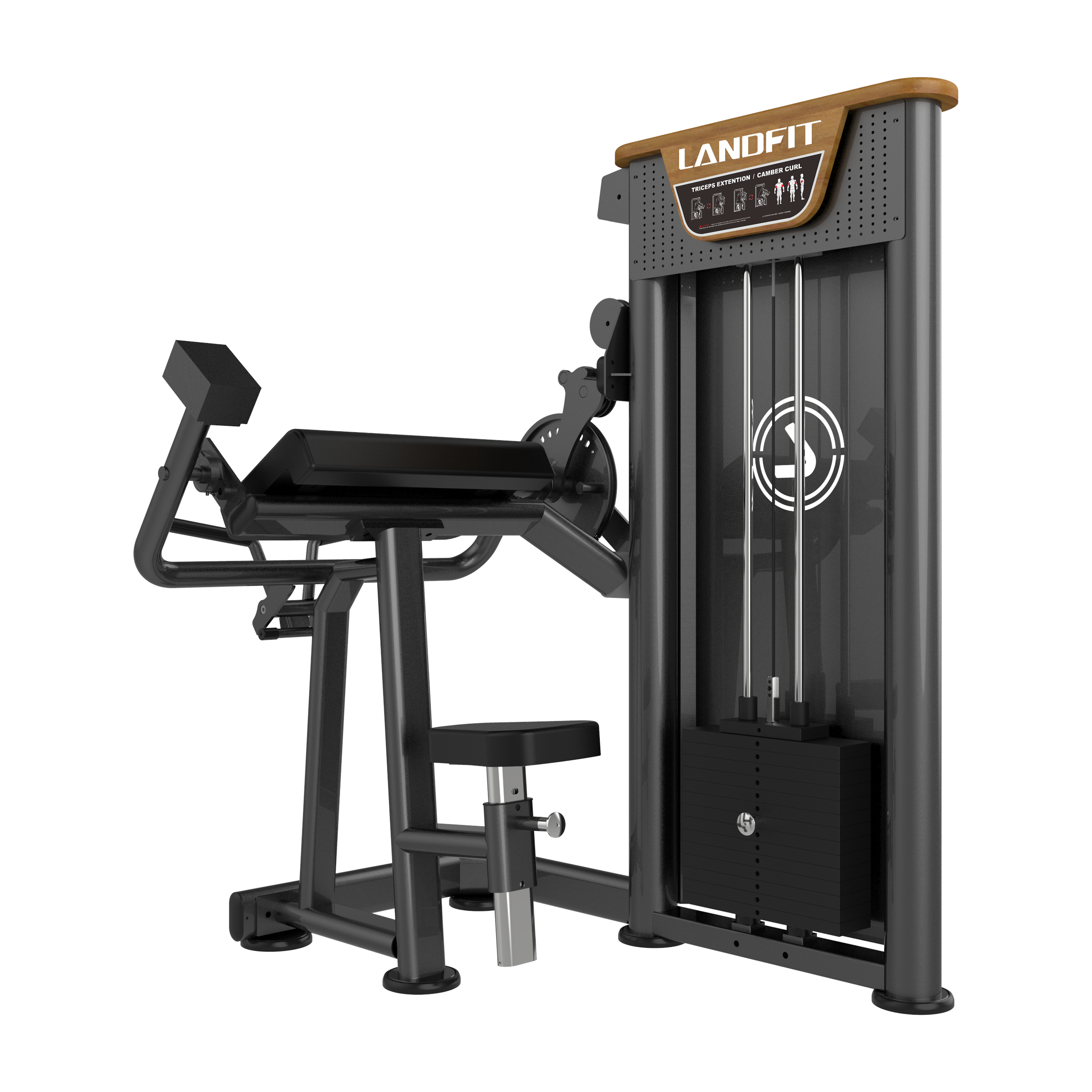 Biceps Curl/ Triceps Extension