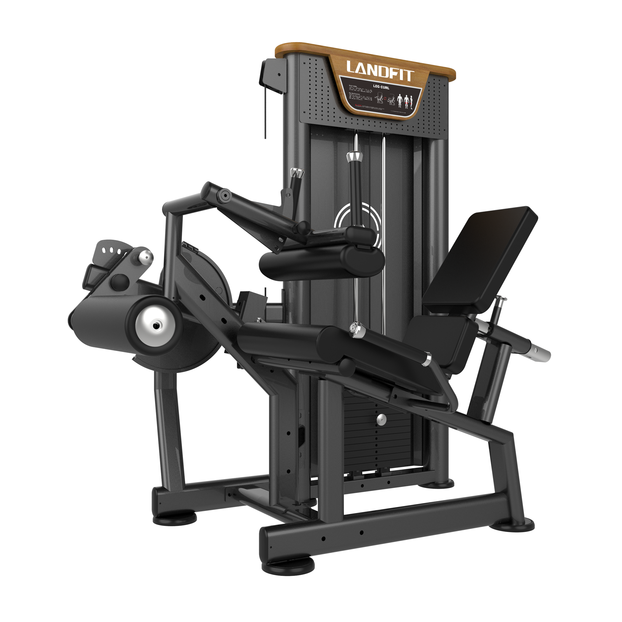 Seated Leg Curl