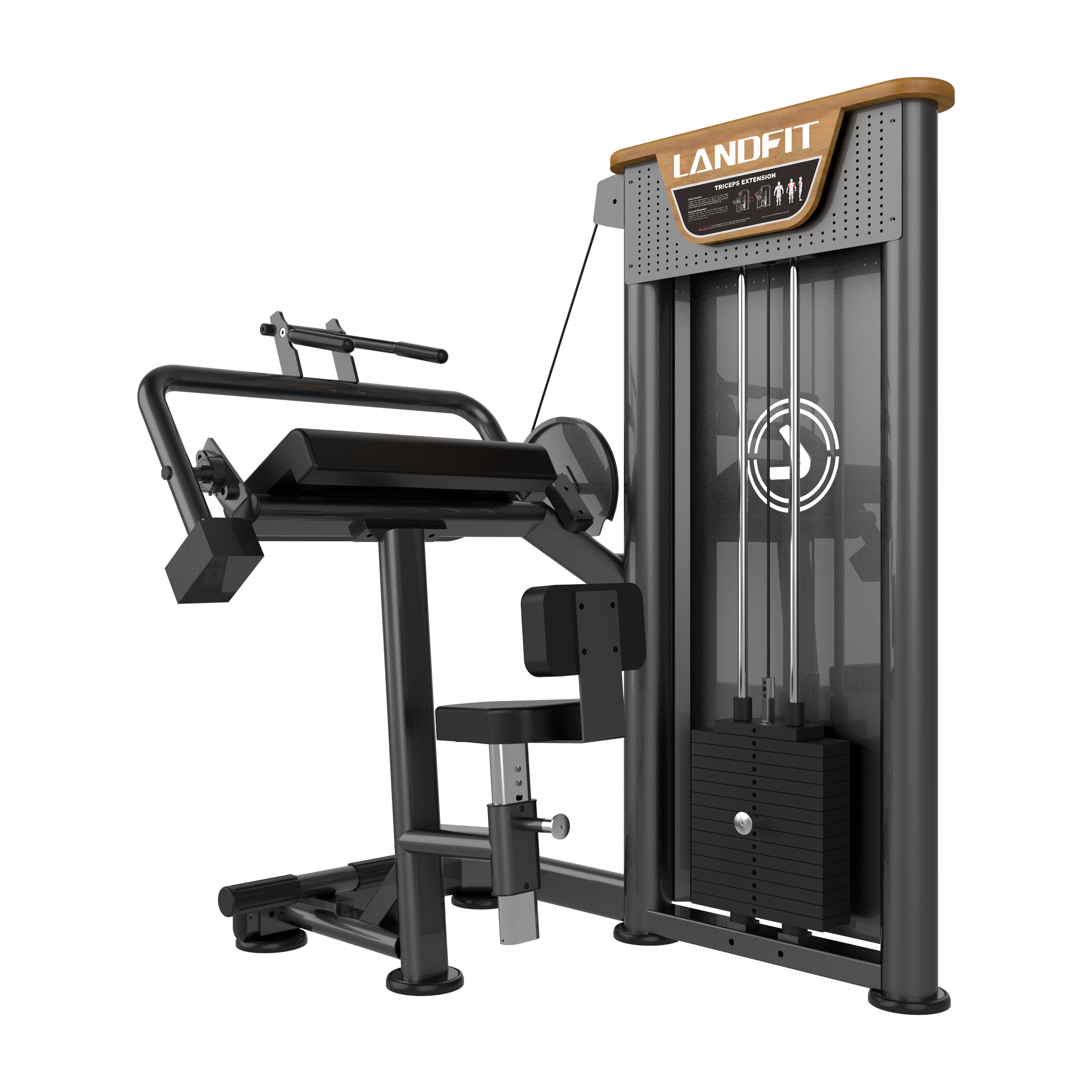 Triceps Extension